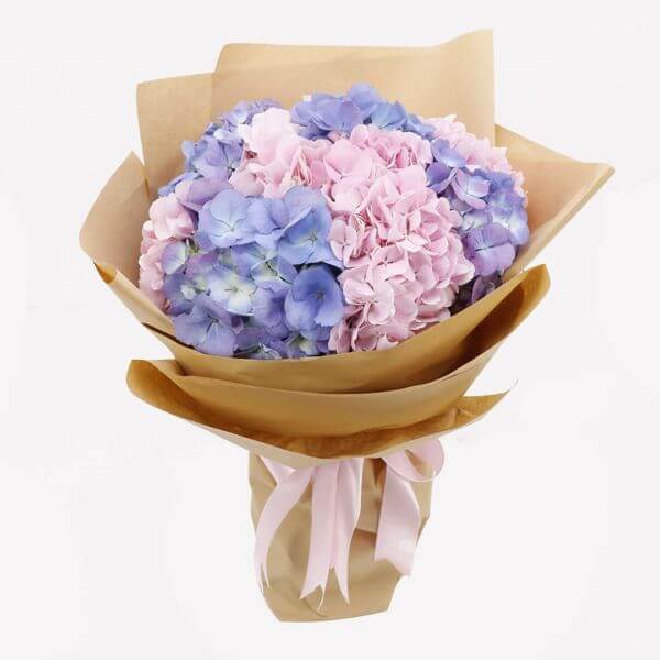 Blue-and-pink-Hydrangea-Bouquet