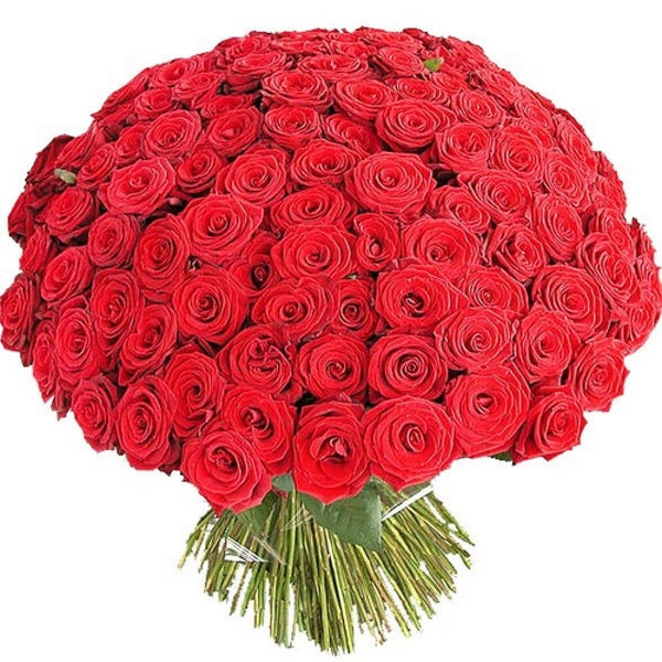 101-Red-Rose-Bouquet