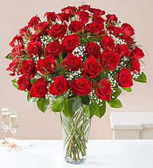 50 red roses in vase, roses Dubai