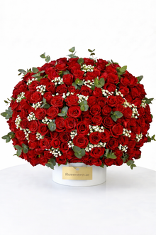 Elite 500 red rose box arrangement, luxury flowers Dubai