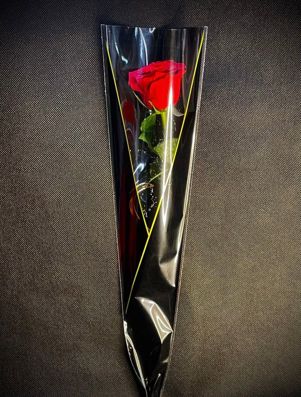 Single Red Rose
