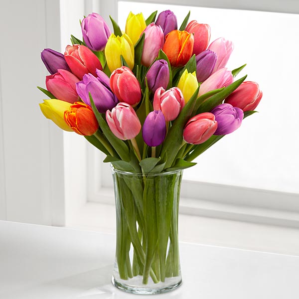Colorful-Tulips-In-Vase