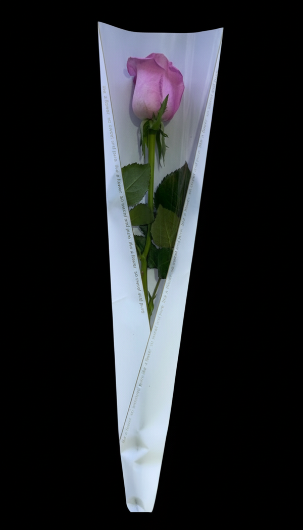 Single Rose Dubai | From AED 7, Delivered Today – Flower Street