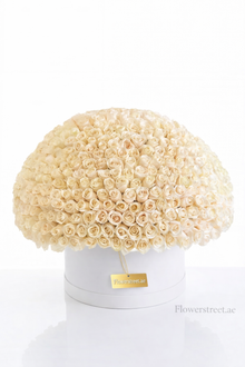 VIP 1000 white roses luxury box arrangement, luxury flowers Dubai