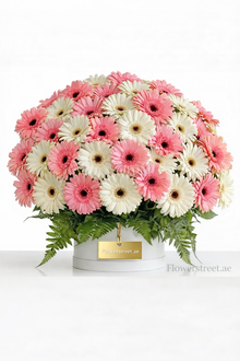 Luxury pink and white gerbera box arrangement, flower delivery Dubai