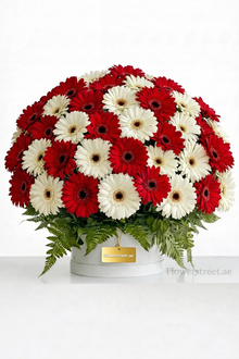 Luxury red and white gerbera box arrangement, flower delivery Dubai