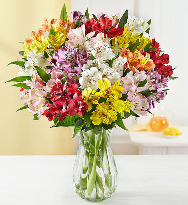 Mix-Of-Alstromerias-In-Vase