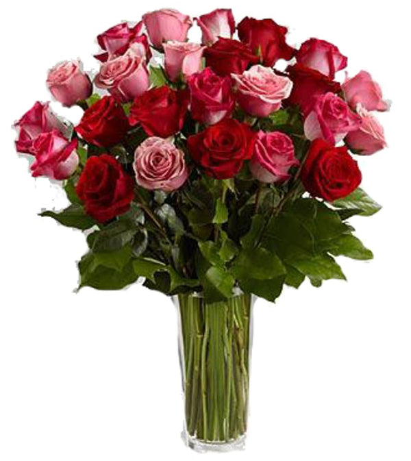 Red and Pink Roses In Vase