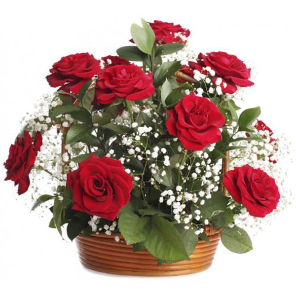 Red roses and baby’s breath In Basket