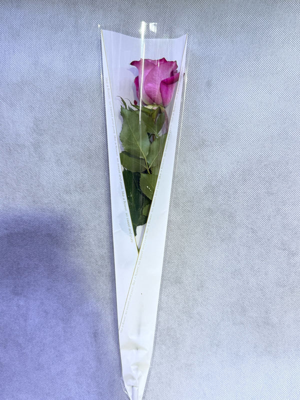 Single Purple Rose In White Wrapping