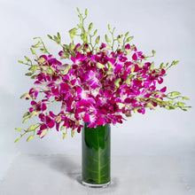Purple orchids in vase, orchid flowers Dubai