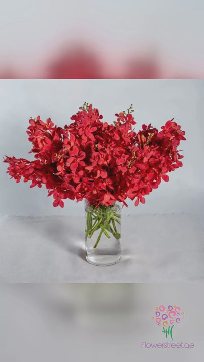Red Orchids in Vase