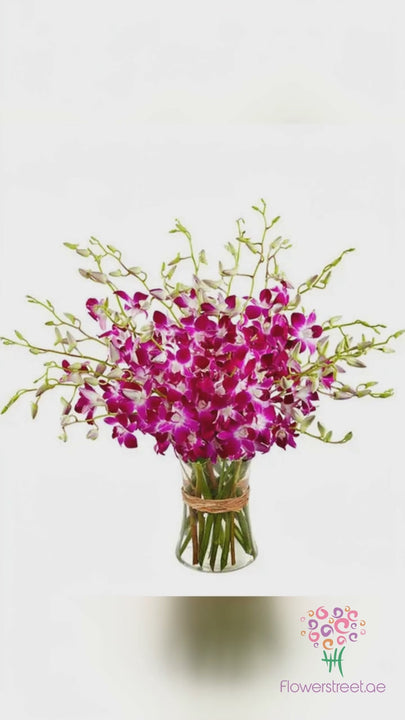 Purple Dendrobium Orchids in Vase
