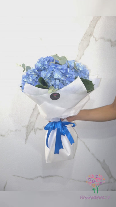 Blue hydrangea with green foliage in white wrapping