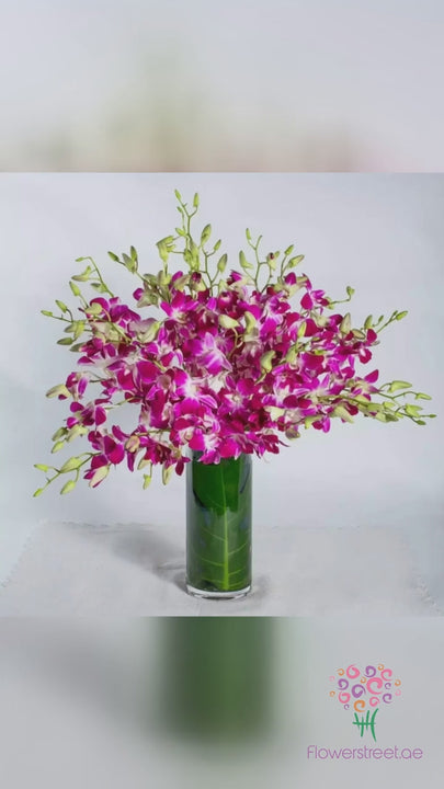 Purple Orchids In Vase
