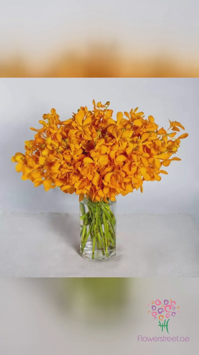 Orange Orchids in Vase