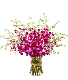 Purple dendrobium orchids in vase, orchid flowers Dubai